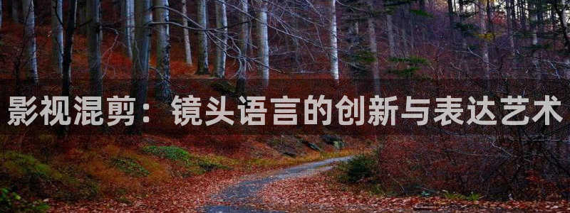 新视觉飘零影院：影视混剪：镜头语言的创新与表达艺术