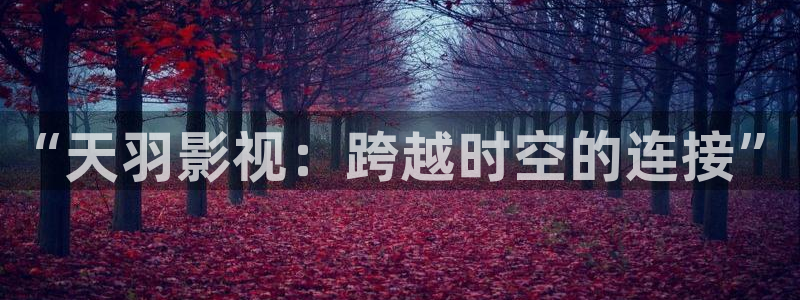 飘零影院理论：“天羽影视：跨越时空的连接”