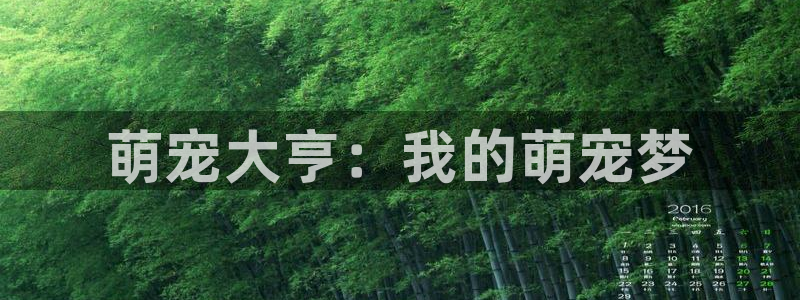 飘零电影p2100：萌宠大亨：我的萌宠梦