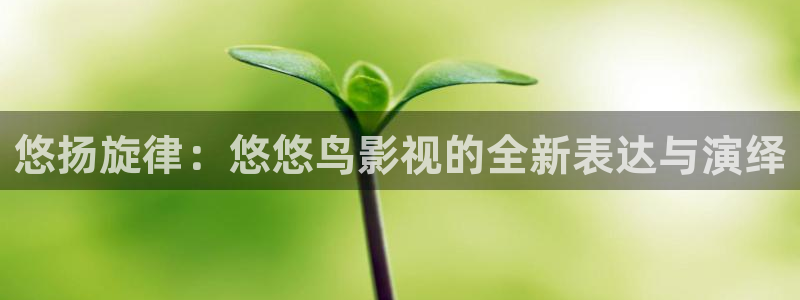 星辰影院飘零影院：悠扬旋律：悠悠鸟影视的全新表达与演绎