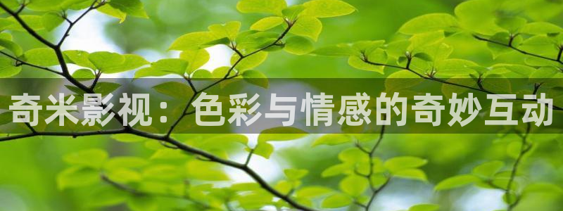 未来飘零影院：奇米影视：色彩与情感的奇妙互动