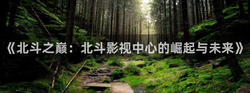 未来影院飘零：《北斗之巅：北斗影视中心的崛起与未来》