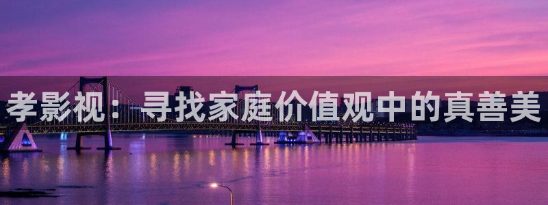 飘零影院理论：孝影视：寻找家庭价值观中的真善美