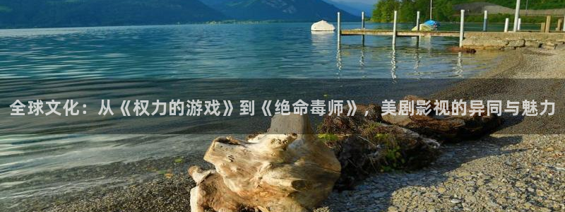 飘零影院伦理片免费观看：全球文化：从《权力的游戏》到《绝命毒师》，美剧影视的异同与魅力