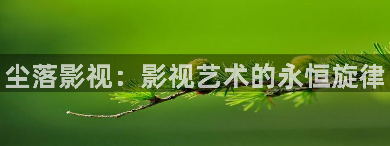 飘零影院中文在线观看：尘落影视：影视艺术的永恒旋律